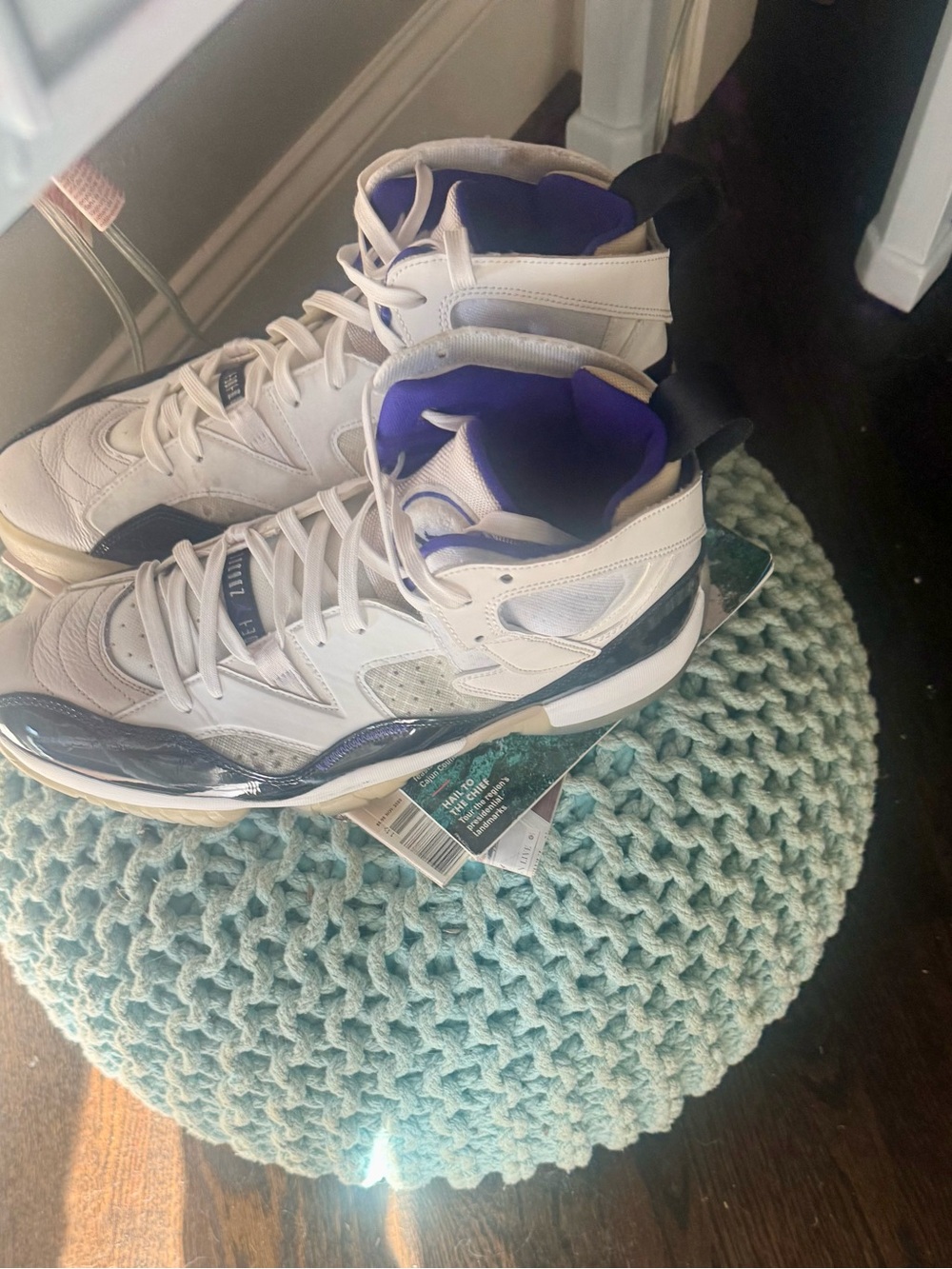 Air Jordan 11
